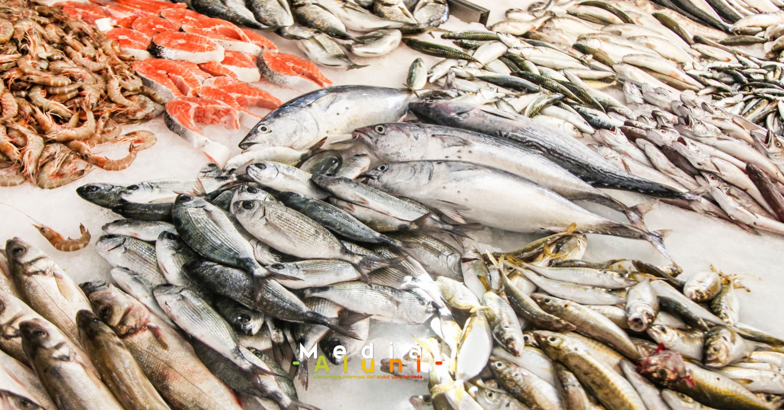 Mengenal Risiko Merkuri dalam Ikan dan Cara Menghindarinya