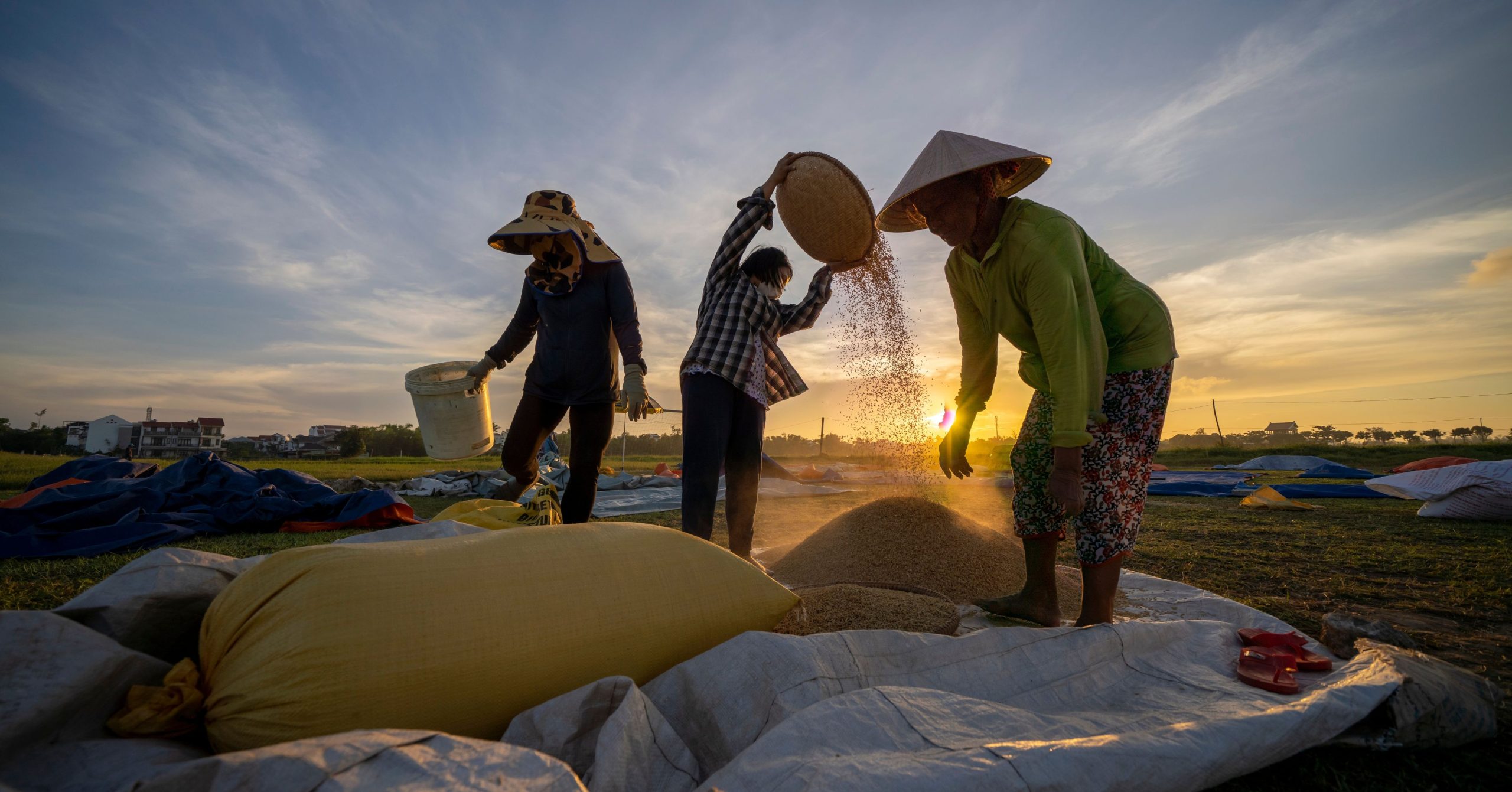 Beras di Konsumen RI Mahal Petani Miskin